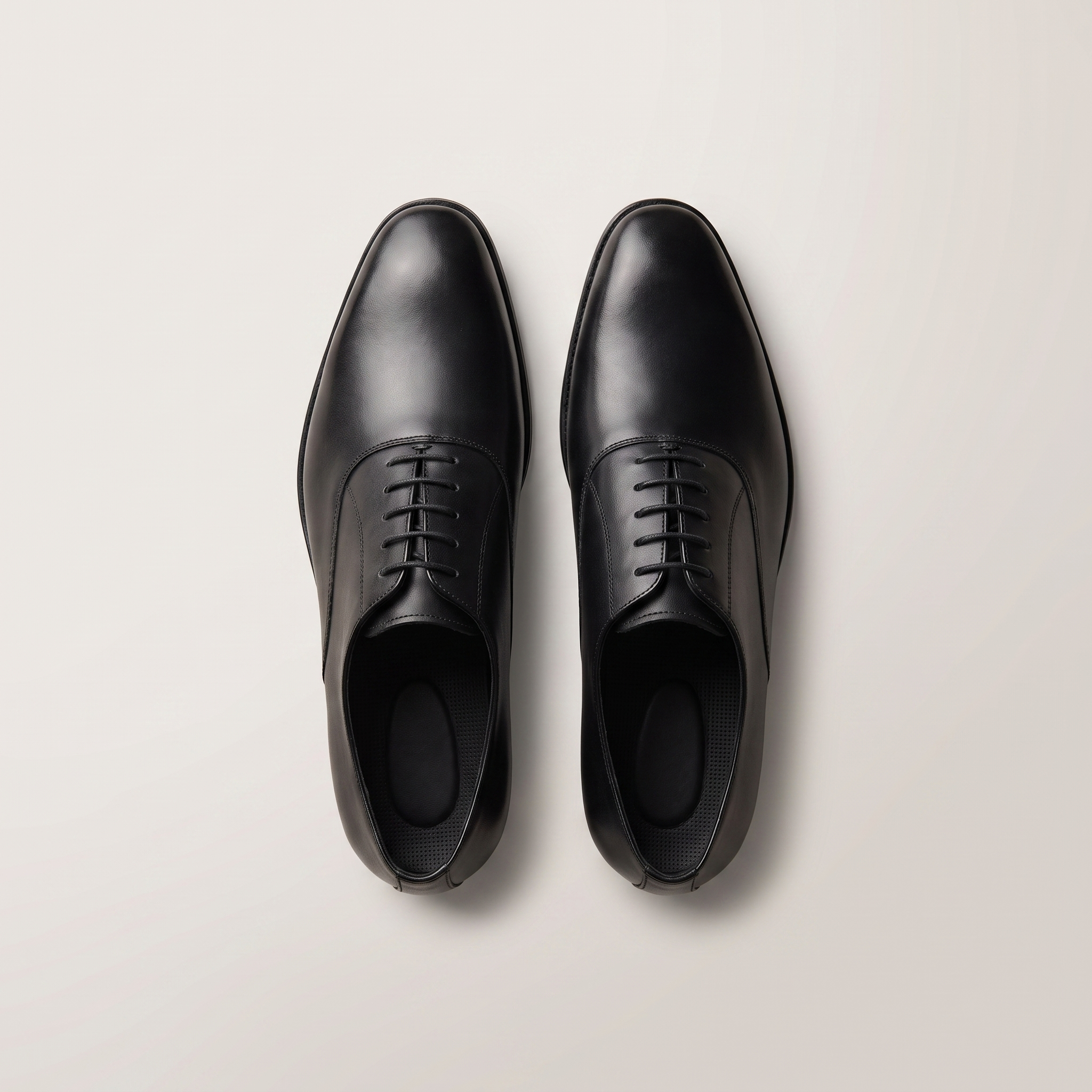 The Oxford - Schwarz